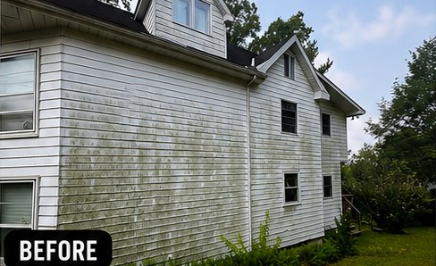 House siding before washing: green algae haze across the boards